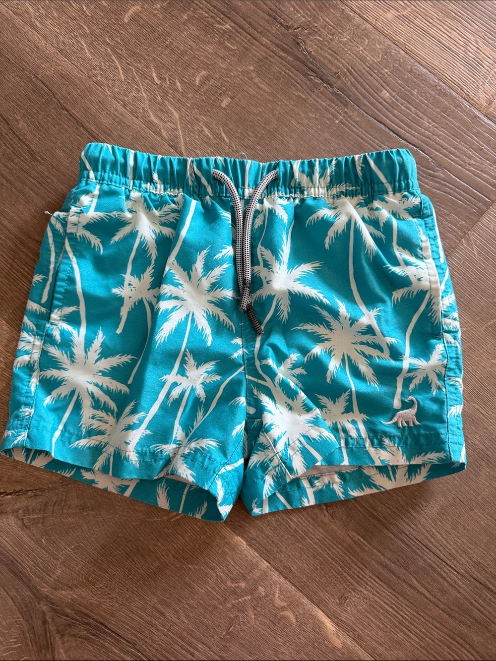 Grace Turquoise and White Palm-Print Boys Swim Shorts
